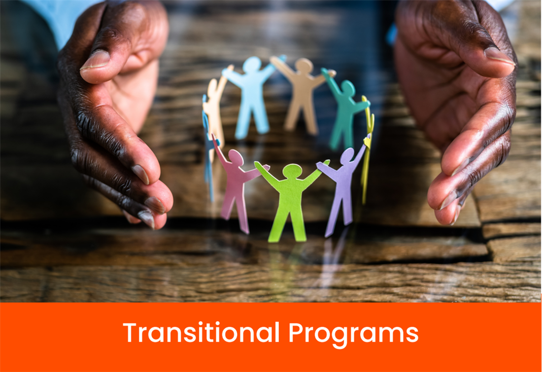 Transitional Programs